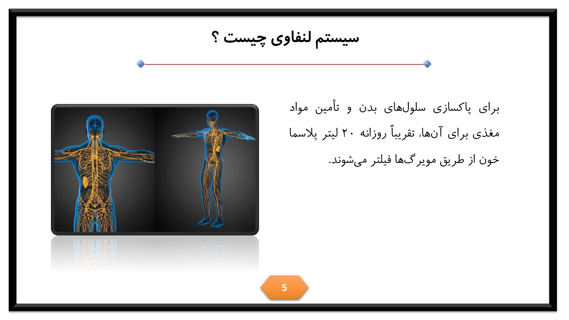 پاورپوینت در مورد سیستم لنفاوی 